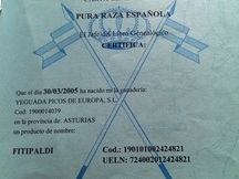 Pre -Fitipaldi- Negro