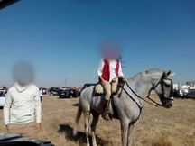 vendo caballo lusitano