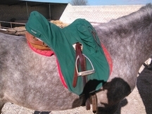 montura australiana