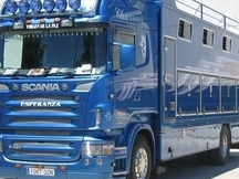 TRANSPORTES INTERNACIONALES DE CABALLOS
