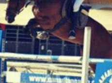 caballo de salto