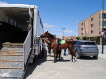 CAMIÓN PARA 7 CABALLOS