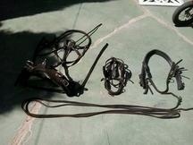 Venta de pony con carruaje y guarnición