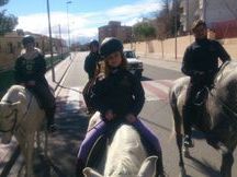 JOVEN CABALLO PRE