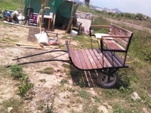 YEGUA TORDA PRE