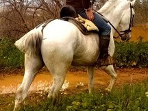 EN VENTA JACA CAMPERA CRUZADA EN SEVILLA