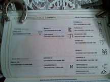 se vende potro