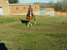 alazan cuatralbo careto