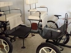 Carro de 4 ruedas para pony 