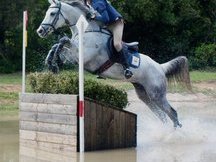 Excelente yegua campeona de españa de completo