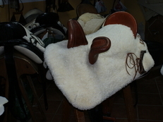 silla amzona de vidal