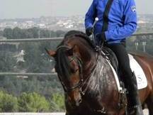 Potro- Poderoso XC -