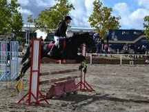 Yegua de salto CDE