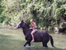 Poni ideal horseball