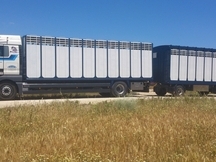 TRANSPORTE DE CABALLOS NACIONALES E INTERNACIONALES