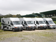 Transportes internacional de caballos