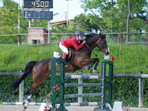 Winston kwpn en venta