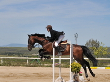 CABALLO DE SALTO