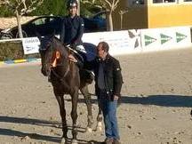 Caballo de salto en venta