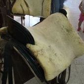 VENDO MONTURA VAQUERA