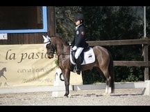 Pony B en venta
