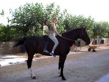 COMPRO caballo de salto