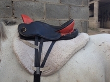 Se vende silla PODIUM