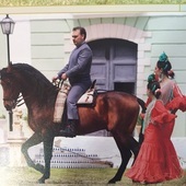 Caballo castaño con gran belleza