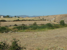 Alquiler finca rustica 5ha pastos para ganado