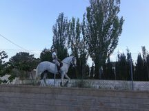ejemplar PRE en venta
