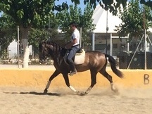 BAYO PRE TRES AÑOS
