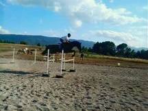 caballo de salto