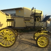 COCHE DE CABALLOS: CARRO DE DOMA