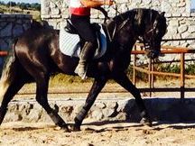 PRE EN VENTA