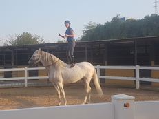 PRE EN VENTA 