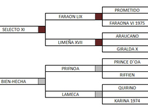  YEGUA ARABE Y POTRO HA BARATOS