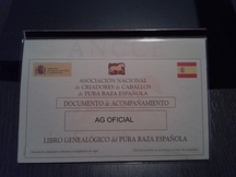 AG Oficial P.R.E
