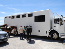 CAMION DE 7 CABALLOS PARA TODA ESPAÑA