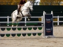 Caballo de salto 