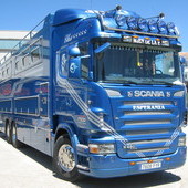 transporte de caballos a europa