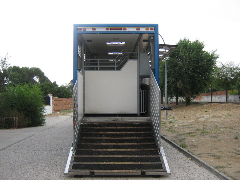 transporte de caballos a europa - Transportes de caballos in 