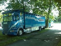 transporte de caballos a europa