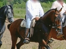se vende jaca