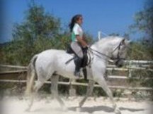 caballo con el hierro de Tomas Osborne