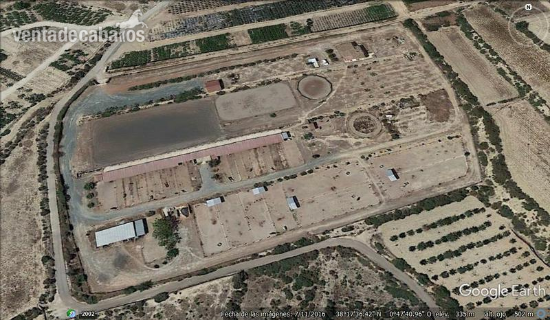 VENTA INSTALACIONES HIPICAS in Aspe