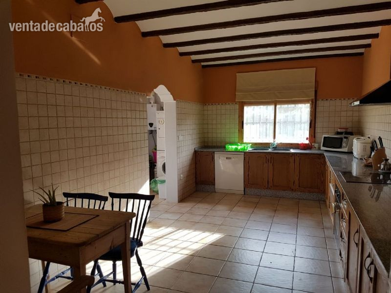 VENTA INSTALACIONES HIPICAS - Hípicas y establos en venta in Aspe