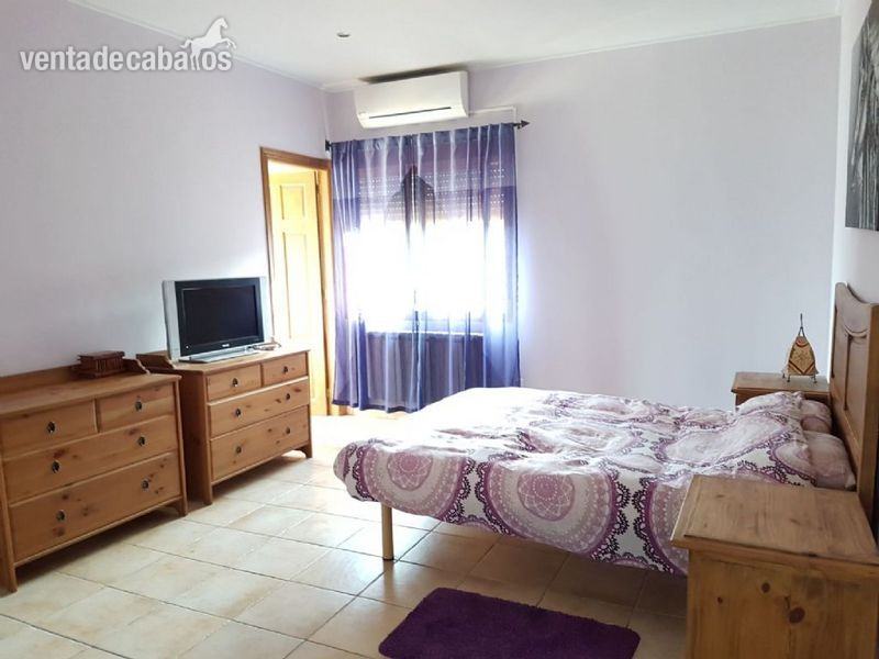 VENTA INSTALACIONES HIPICAS - Hípicas y establos en venta