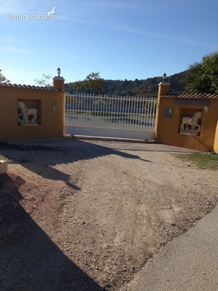 Hípicas y establos en venta - VENTA INSTALACIONES HIPICAS