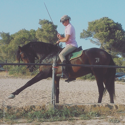 Hispano-Arabe