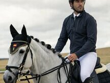 Venta caballo salto